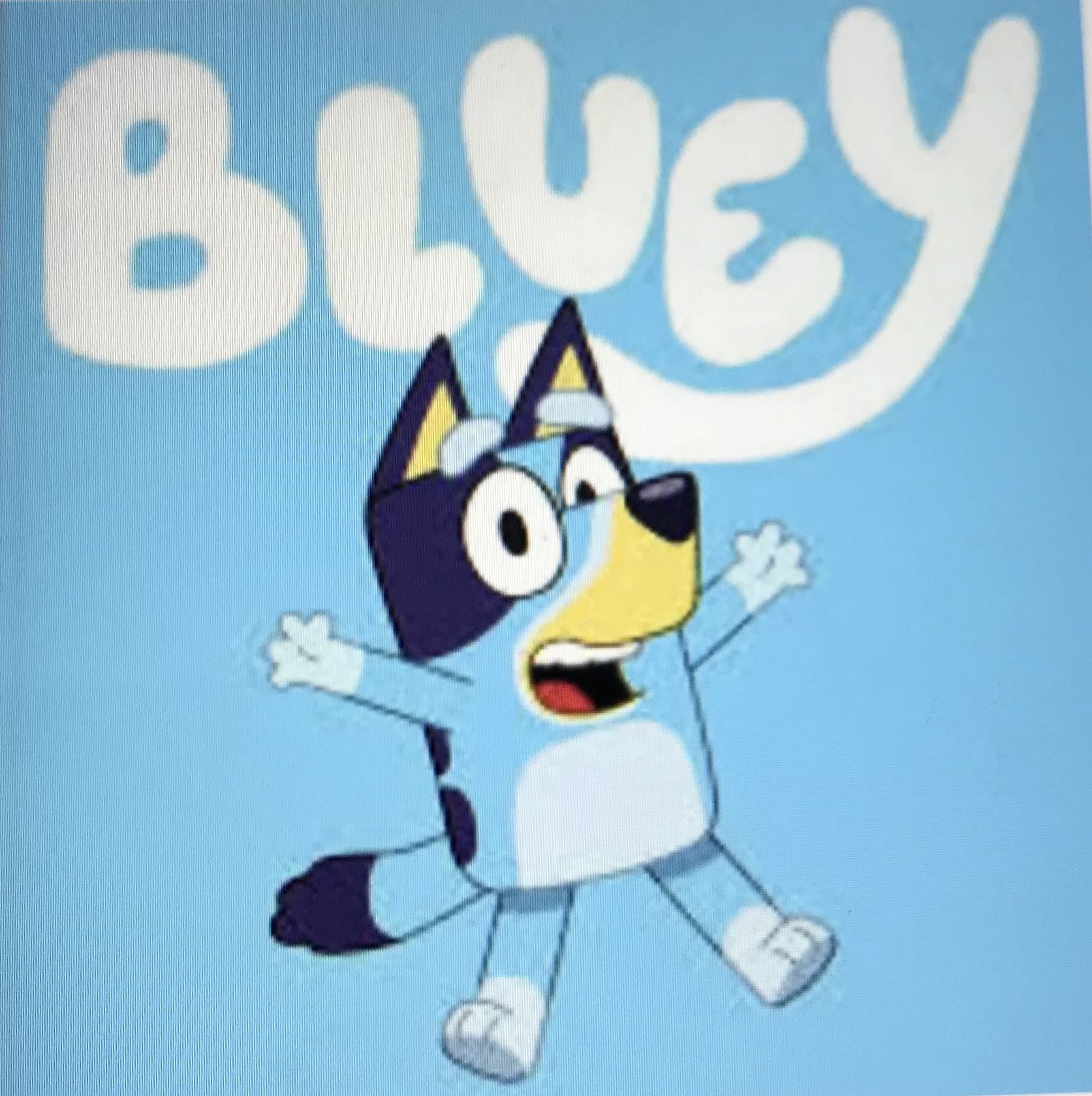 Bluey – Internetstitch.com 258